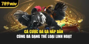 Cá Cược Đá Gà Hấp Dẫn Cùng Đa Dạng Thể Loại Linh Hoạt
