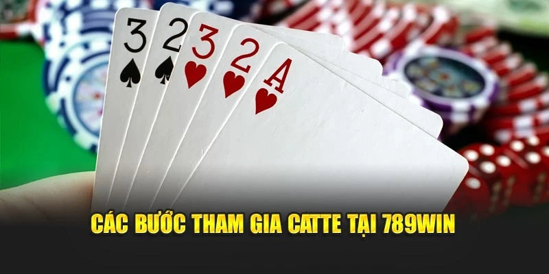 Các bước tham gia Catte tại 789WIN