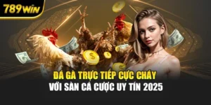 Đá Gà Trực Tiếp Cực Cháy Với Sàn Cá Cược Uy Tín 2025