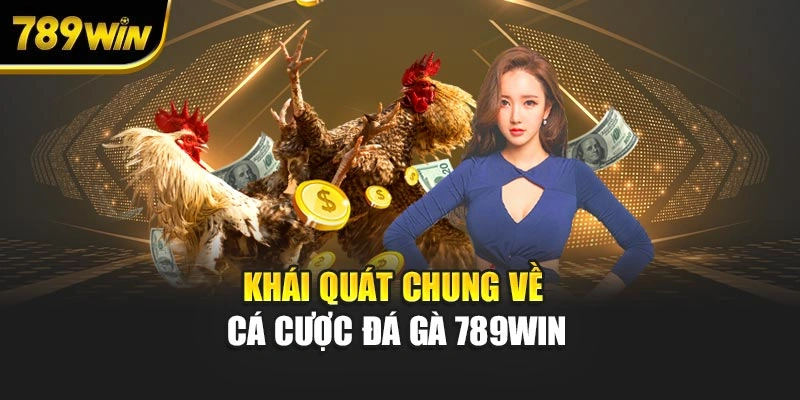 Khái quát chung về cá cược đá gà 789WIN