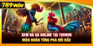 Xem Đá Gà Online Tại 789WIN – Mãn Nhãn Từng Pha Đối Đầu