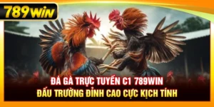 Đá Gà Trực Tuyến C1 789WIN – Đấu Trường Đỉnh Cao Kịch Tính