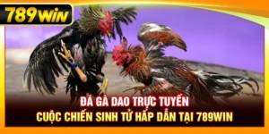 Đá Gà Dao Trực Tuyến – Cuộc Chiến Sinh Tử Hấp Dẫn Tại 789WIN