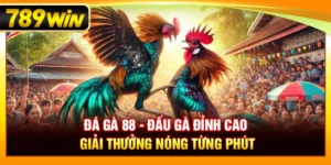 Đá Gà 88 – Đấu Gà Đỉnh Cao, Giải Thưởng Nóng Từng Phút