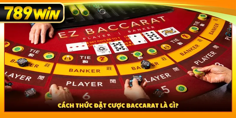 Cách thức đặt cược baccarat là gì?