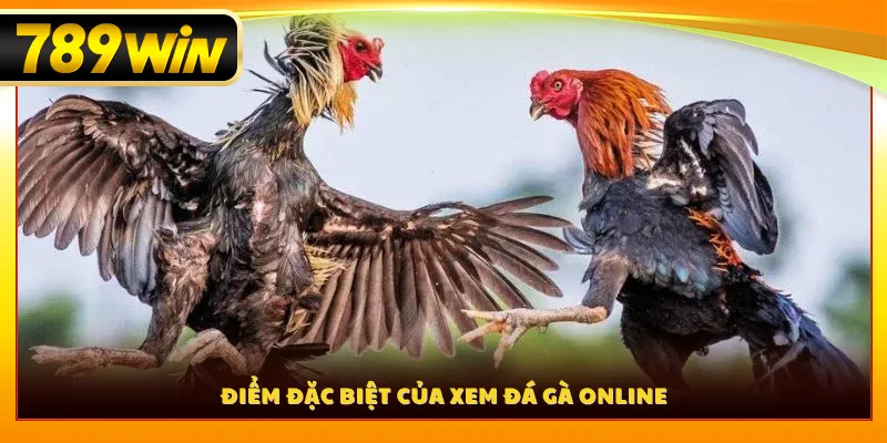 Điểm  đặc biệt của xem đá gà online