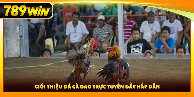Giới thiệu đá gà dao trực tuyến đầy hấp dẫn