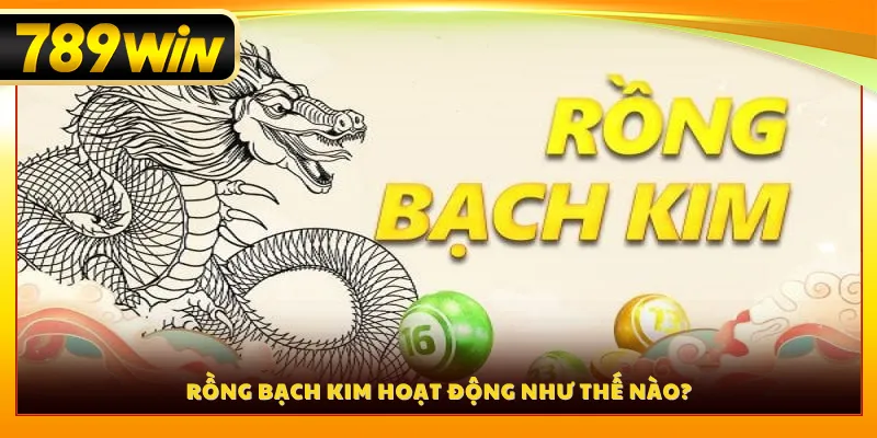 Rồng bạch kim hoạt động như thế nào?
