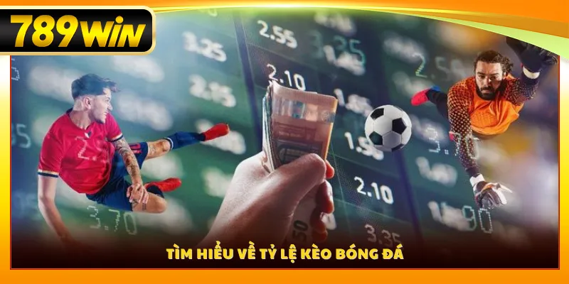 Tìm hiểu về tỷ lệ kèo bóng đá