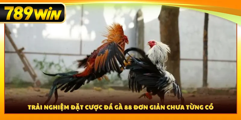 Trải nghiệm đặt cược đá gà 88 đơn giản chưa từng có